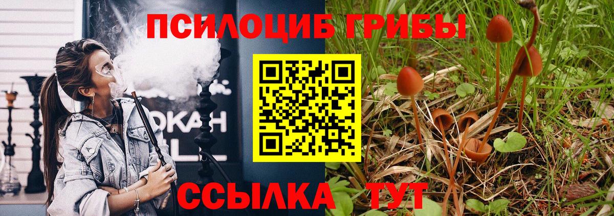 Зеленокумск  закладки  Вход с VPN  Галлюциногенные грибы Psilocybine cubensis  Псилоцибиновые грибы ЛСД 