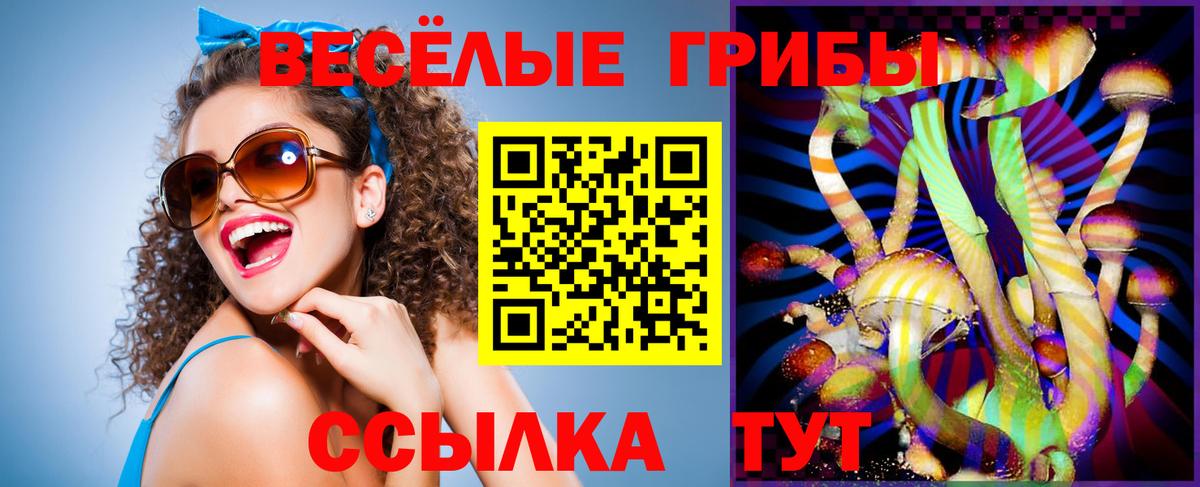 Псилоцибиновые грибы мухоморы Зеленокумск